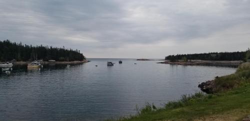 Birch Harbor House | Sunshine