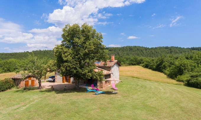 Sainte-Cecile-du-Cayrou Cottage | Superb stone house at the gates of the Forest