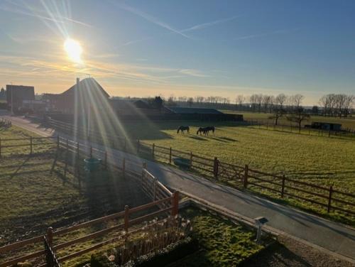 Stokkem Bed & Breakfast | 't Steenenhuys