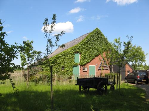 Exloo House | 't Zwaluwennest