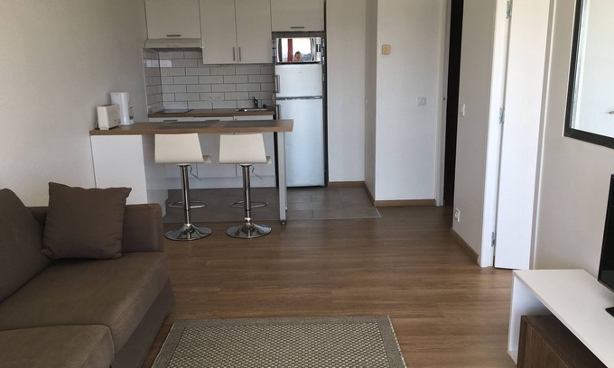 Anglet Apartment | T2 refurbished with large terrace and open view, beaches on foot