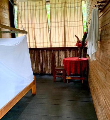 Tambopata House | tambopata oropendola