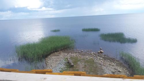 Vilusi Other | Tammispää Camping