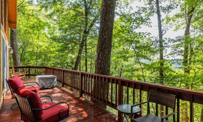 Deep Gap Cabin | Tatra Nest - Powder Horn - Views! Pets ok! Hikers