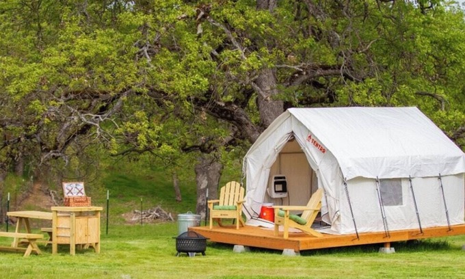 Central Point RV Rental | Tentrr Signature Site - Ancient Oak at Lane Creek Reserve
