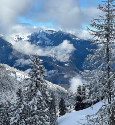 Vionnaz Apartment | terrasse plus parking pour 8 personnes au ski à Torgon
