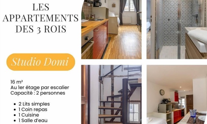 Romorantin-Lanthenay Apartment | The 3 kings: Studio Domi, Beauval and Châteaux