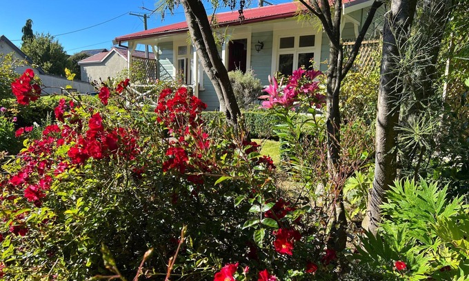 Dunedin Cottage | The Albion Cottage in beautiful colourful garden