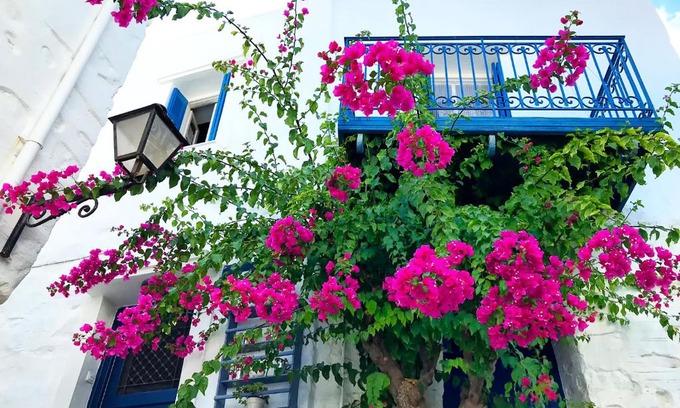 Ano Siros Apartment | The Balcony of Bougainvillea!