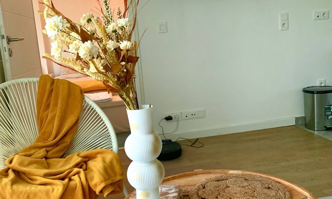 Maisons-Alfort Apartment | The Bali Cosy House