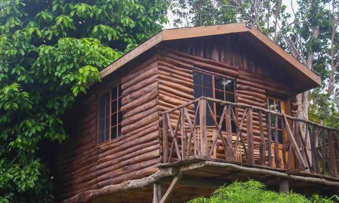 St. Ann's Bay House | The Blue Mahoe Treehouse