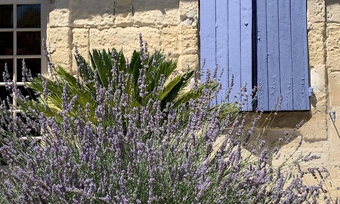 Arles House | The Blue Mazet in the city