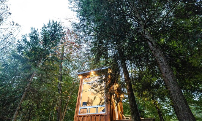 Middlesex Centre Cabin | The Bracken Cabin at Fernwood Hills