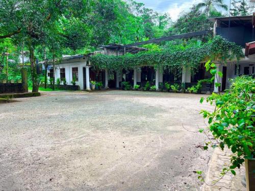 Kithulgala Hotel | The Cave Retreat