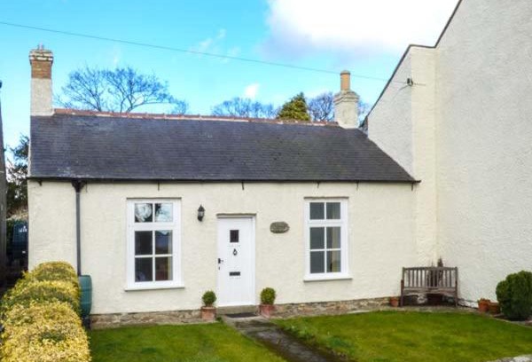 Ovington House | The Conifers