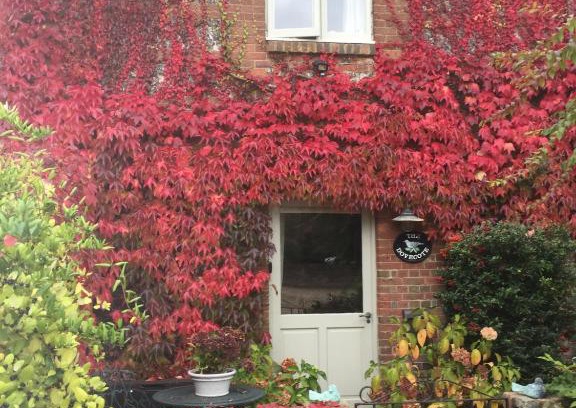 Bishopstone Villa | The Dovecote, Stoke Farthing Courtyard