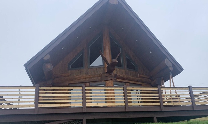 Terra Nova House | "The Duck" Cedar Log Home Rental - Sleeps 12!