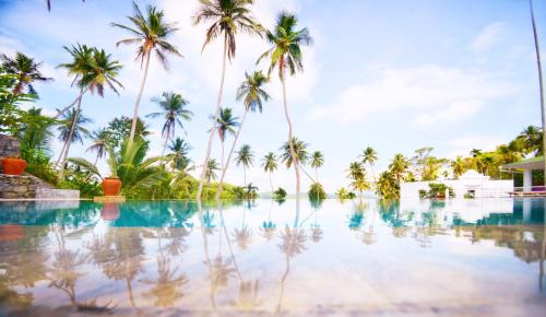 Galagedara Hotel | The Flame Tree Estate & Hotel