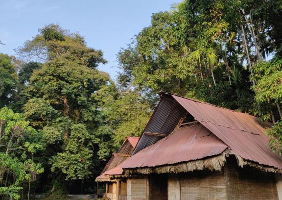 Havelock Island Cabin | The Forest Elephant - Formerly known as the Flying Elephant
