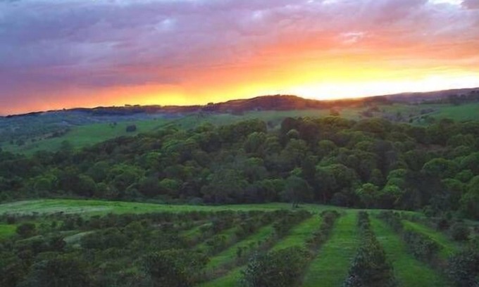Coorabell Apartment | The Hut Byron Bay HInterland