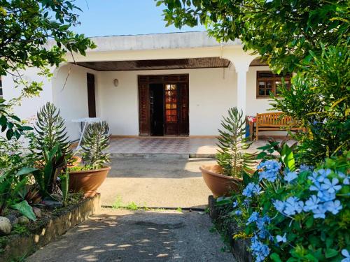 Saint-Pierre House | The Kapokier