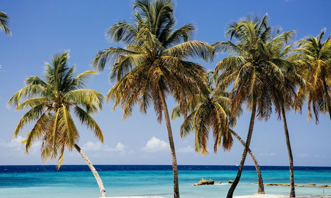 Union Vale Hotel | The Liming Bequia