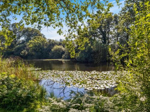 Plaistow House | The Lodge At The Lake House