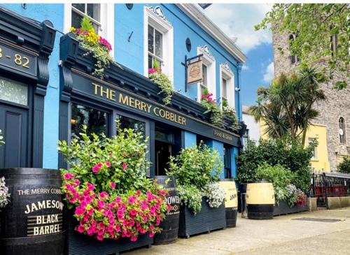 Irishtown Hotel | The Merry Cobbler