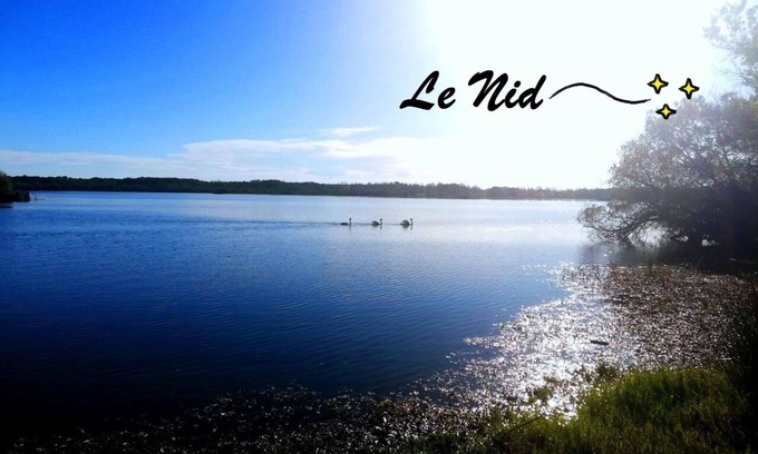 Aureilhan Apartment | The Nest of the Lake