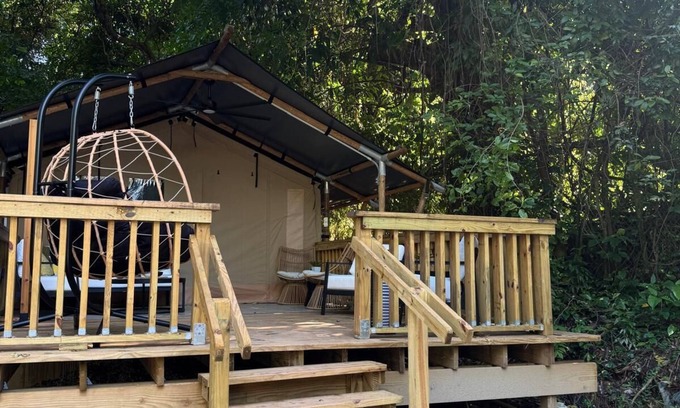 Rio Piedras Bed & Breakfast | The ONLY glamping site in the New Millennium Forest in San Juan, PR