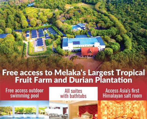 Brisu Resort | The Orchard Resort & Spa Melaka I World Spa Awards Winner I Free Access to Outdoor Spa Pool