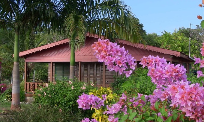 Little Bay Cabin | The Real Jamaica
