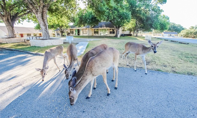 Highland Lake Estates Apartment | The Shores at Lake Travis