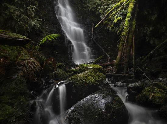 Tanybryn Cabin | The Source, Otways