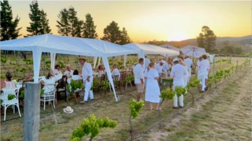 Severnlea House | The Vigneron's Cottage at Dragonfly Estate Vineyard - Stanthorpe