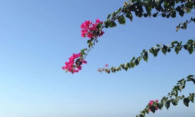 Plemmirio Villa | The window on the sea!Villa on the sea of the Naturalistic Oasis of Plemmirio