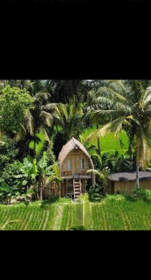 Sebatu House | tiny ECO bamboo house