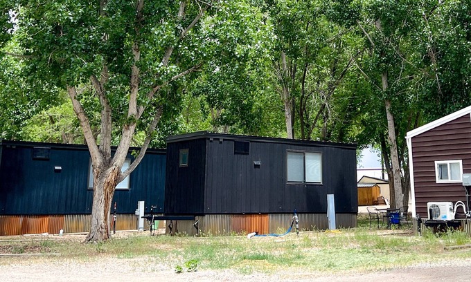 Montrose House | Tiny home with one lofted queen bed and full size futon.