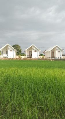 Chae Hom House | Tiny house homestay & cafe T2