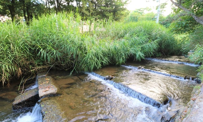 Usami House | Tiny house where the river of Izu flows/Ito Shizuoka