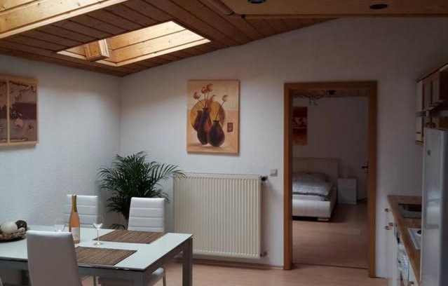 Kaiserslautern Apartment | TLA Apartment with Garden