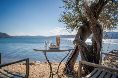 Mytilene House | Traditional Stone House in Seafront Olive Grove A