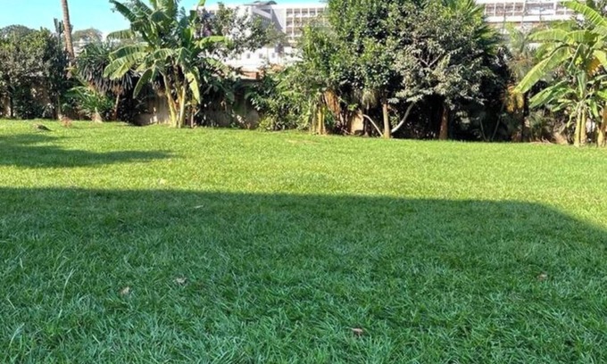 Kampala Apartment | Tranquil Escape-Wandegeya,Kampala: central and accessible.