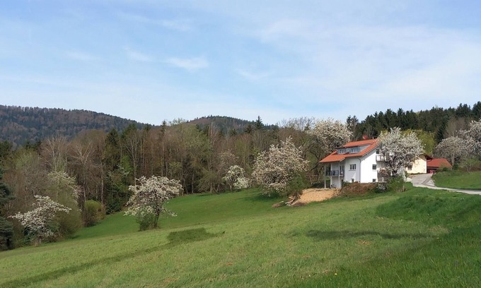 Lalling Apartment | Traumhaftes neu Renoviertes Apartment mit Herrlichem Ausblick & top Ausstattung