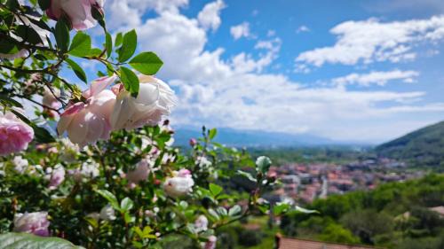 Trebiano Magra Apartment | Trebiano a casa dei nonni