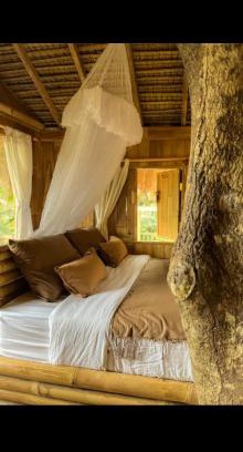 Sebatu House | Tree bamboo house