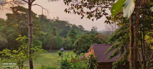 Krong Kaeb House | Tree Guest House kep