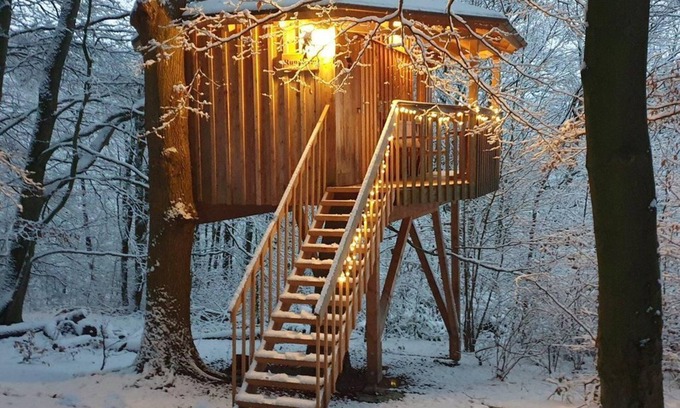 Uslar Apartment | Tree house round house, living/sleeping area - Baumhaushotel Solling