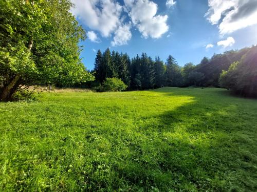 Kolarovice Other | Tree house with private meadow in the middle of the forest