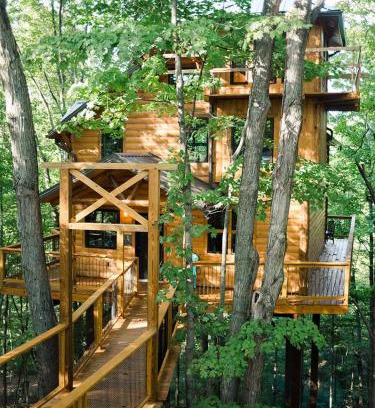 Millersburg House | Treehouse #1 by Amish Country Lodging